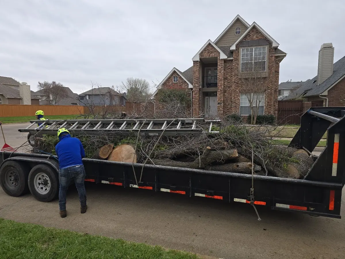 Expert Lot Clearing with proper safety equipment in Magee